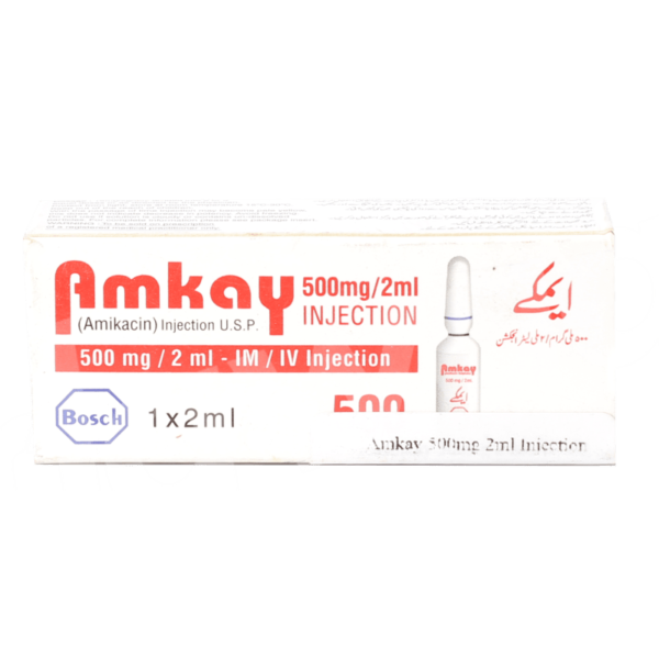 Amkay 500Mg Injection